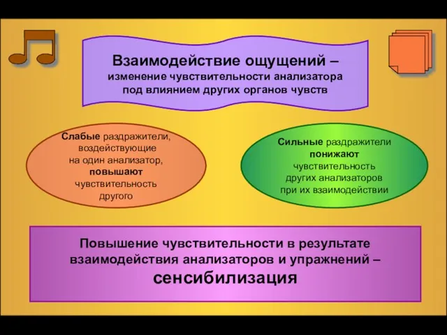 Взаимодействие ощущений – изменение чувствительности анализатора под влиянием других органов чувств