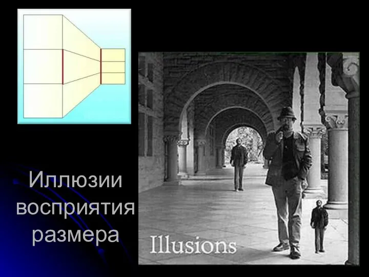 Иллюзии восприятия размера