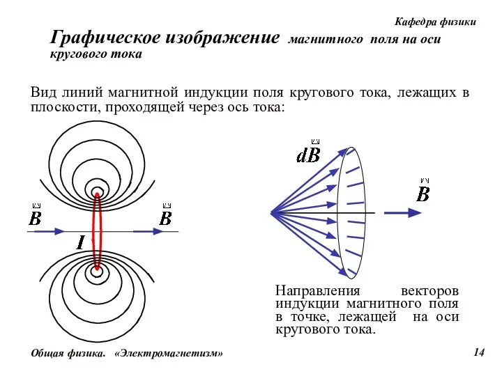 Вид линий магнитной индукции поля кругового тока, лежащих в плоскости, проходящей