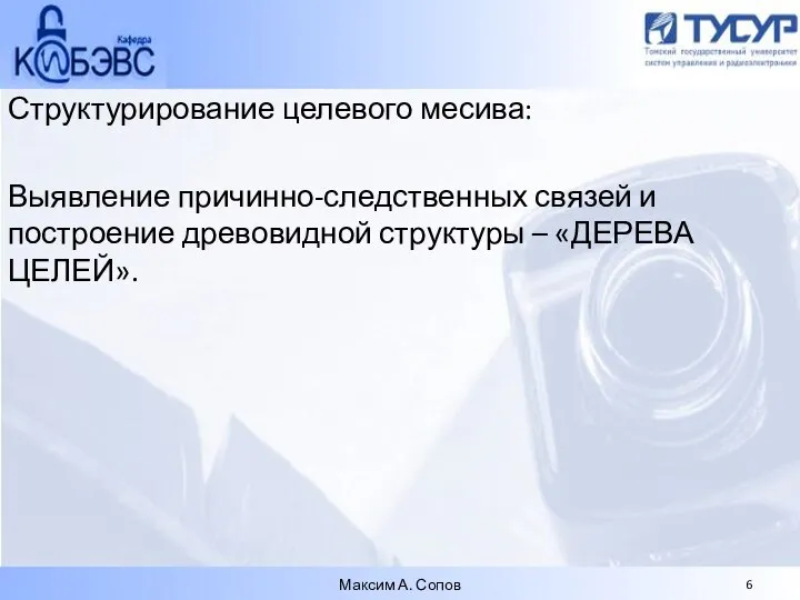 Структурирование целевого месива: Выявление причинно-следственных связей и построение древовидной структуры – «ДЕРЕВА ЦЕЛЕЙ». Максим А. Сопов