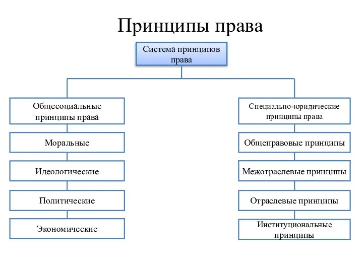 Принципы права Система принципов права Общесоциальные принципы права Специально-юридические принципы права