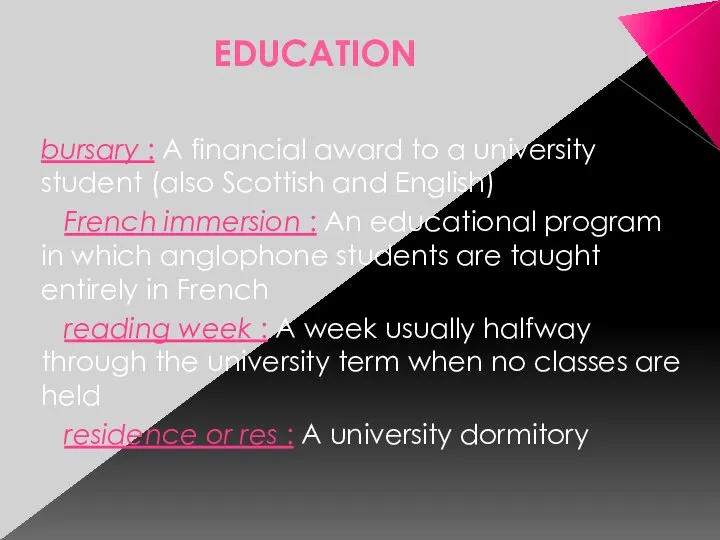 EDUCATION bursary : A financial award to a university student (also