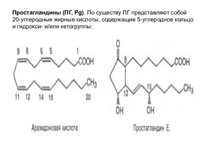 Простагландины (ПГ, Pg). По существу ПГ представляют собой 20-углеродные жирные кислоты,