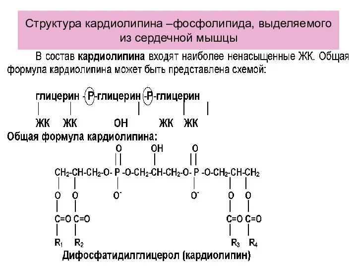 Структура кардиолипина –фосфолипида, выделяемого из сердечной мышцы