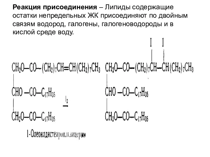 Реакция присоединения – Липиды содержащие остатки непредельных ЖК присоединяют по двойным