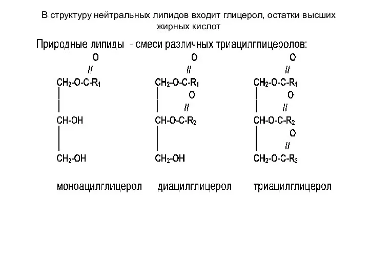 В структуру нейтральных липидов входит глицерол, остатки высших жирных кислот