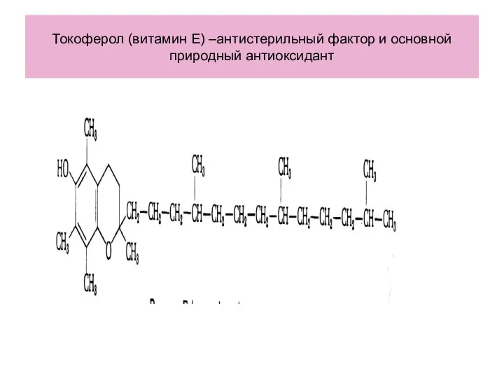 Токоферол (витамин Е) –антистерильный фактор и основной природный антиоксидант