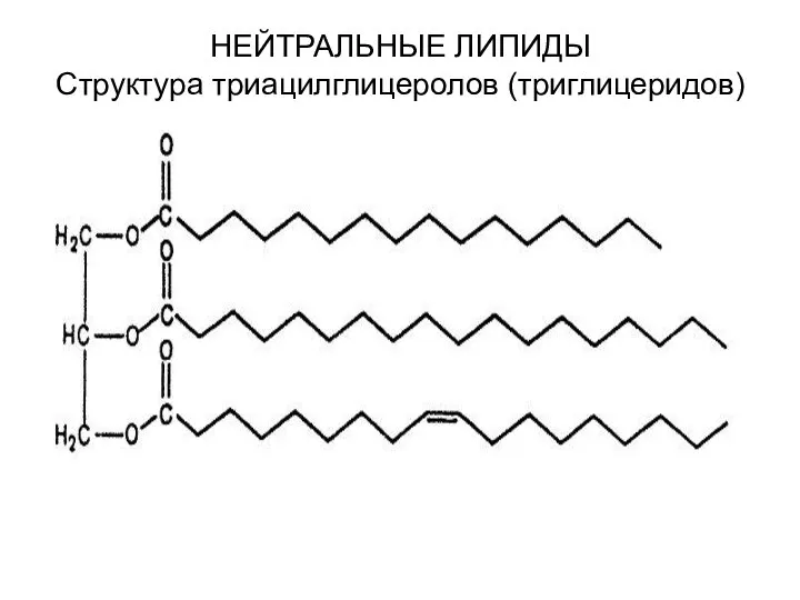 НЕЙТРАЛЬНЫЕ ЛИПИДЫ Структура триацилглицеролов (триглицеридов)