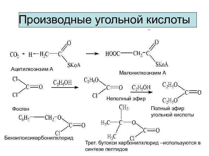 Производные угольной кислоты Ацетилкоэнзим А Малонилкоэнзим А Фосген Неполный эфир Полный