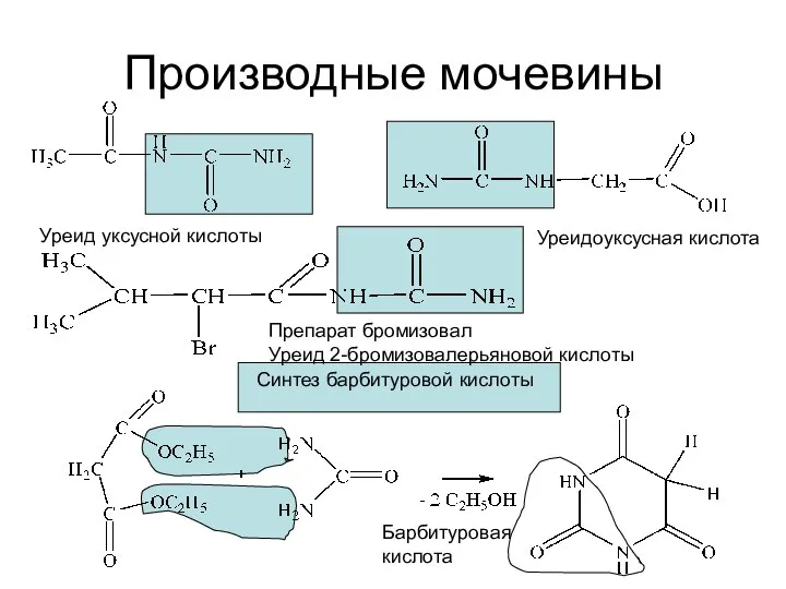 Производные мочевины Уреид уксусной кислоты Уреидоуксусная кислота Препарат бромизовал Уреид 2-бромизовалерьяновой