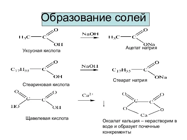 Образование солей Ацетат натрия Стеарат натрия Уксусная кислота Стеариновая кислота Щавелевая