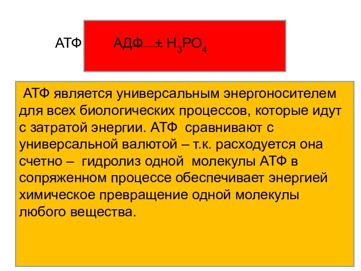 АТФ АДФ + Н3РО4 АТФ является универсальным энергоносителем для всех биологических