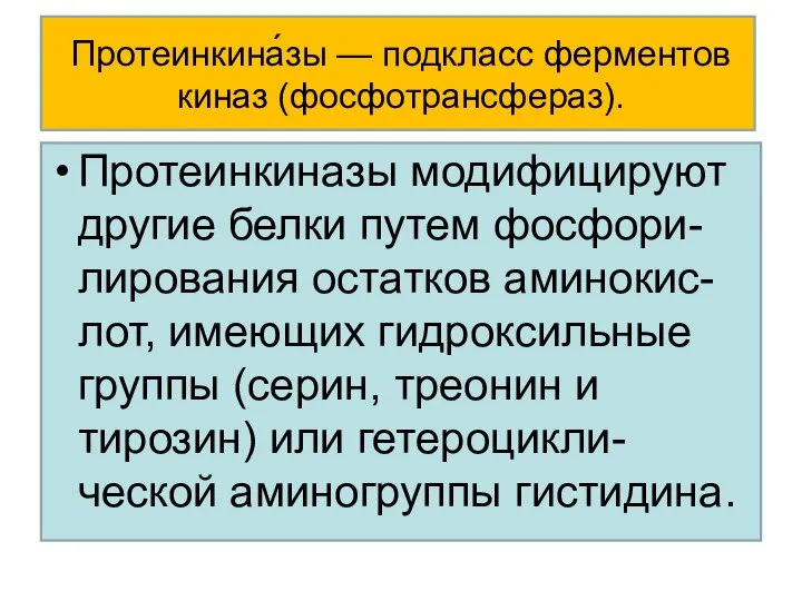 Протеинкина́зы — подкласс ферментов киназ (фосфотрансфераз). Протеинкиназы модифицируют другие белки путем