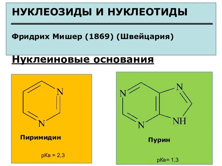 НУКЛЕОЗИДЫ И НУКЛЕОТИДЫ Фридрих Мишер (1869) (Швейцария) Нуклеиновые основания Пиримидин Пурин рКв = 2,3 рКв= 1,3