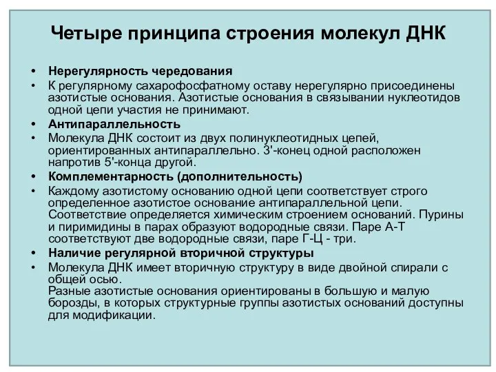 Четыре принципа строения молекул ДНК Нерегулярность чередования К регулярному сахарофосфатному оставу