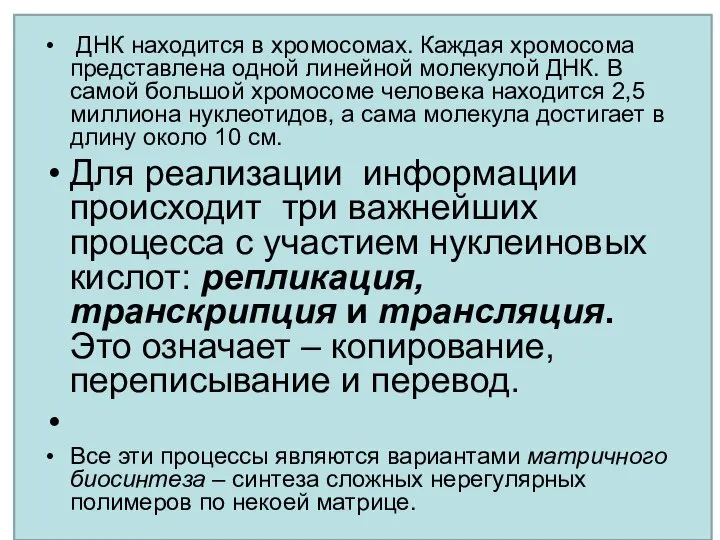 ДНК находится в хромосомах. Каждая хромосома представлена одной линейной молекулой ДНК.