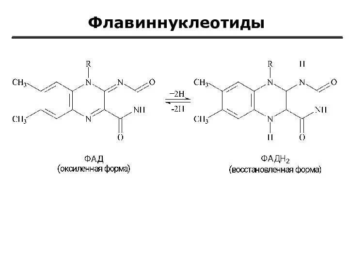 Флавиннуклеотиды