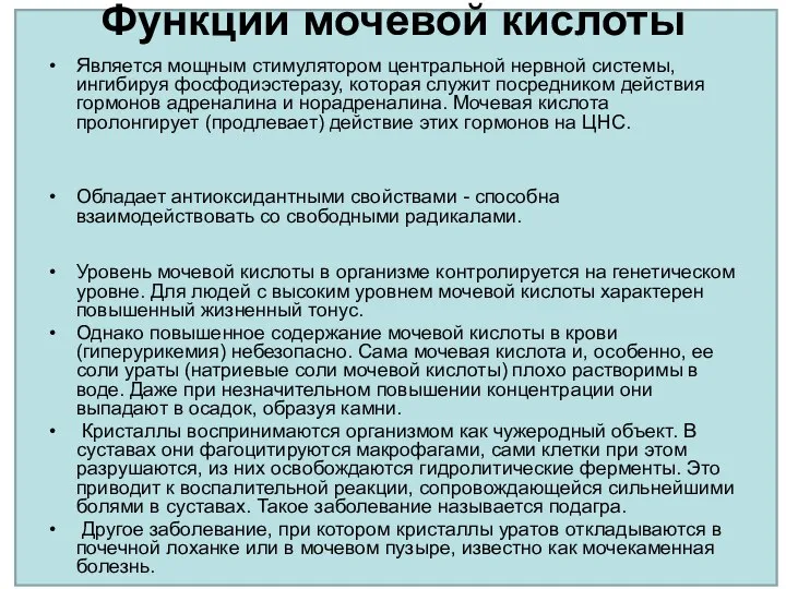 Функции мочевой кислоты Является мощным стимулятором центральной нервной системы, ингибируя фосфодиэстеразу,