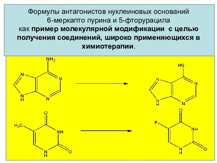 Формулы антагонистов нуклеиновых оснований 6-меркапто пурина и 5-фторурацила как пример молекулярной