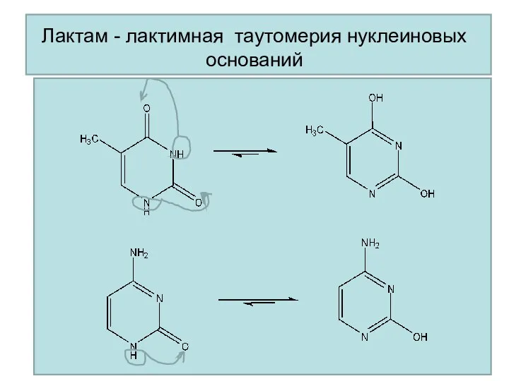 Лактам - лактимная таутомерия нуклеиновых оснований