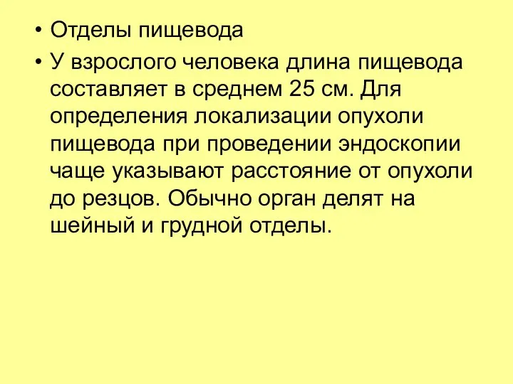 Отделы пищевода У взрослого человека длина пищевода составляет в среднем 25