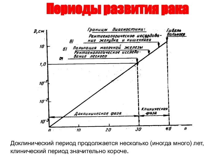 Периоды развития рака Доклинический период продолжается несколько (иногда много) лет, клинический период значительно короче.