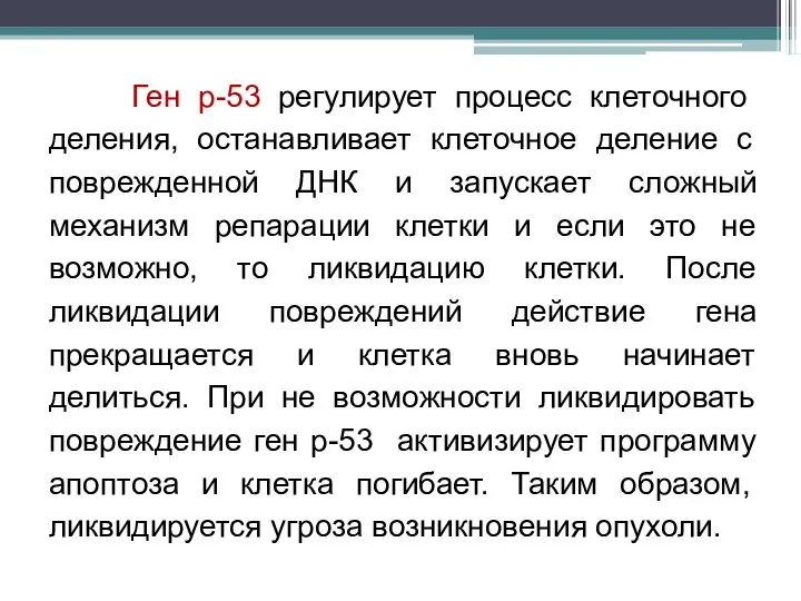 Ген р-53 регулирует процесс клеточного деления, останавливает клеточное деление с поврежденной