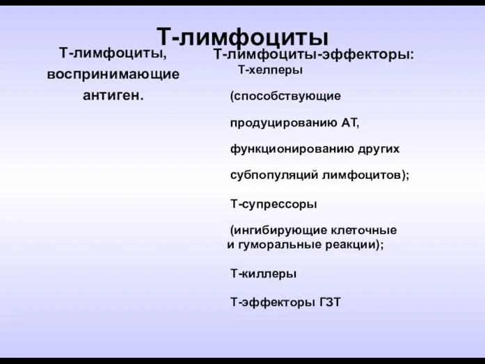 Т-лимфоциты Т-лимфоциты, воспринимающие антиген. Т-лимфоциты-эффекторы: Т-хелперы (способствующие продуцированию АТ, функционированию других