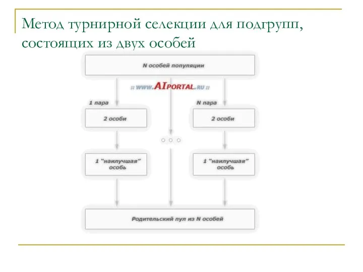 Метод турнирной селекции для подгрупп, состоящих из двух особей