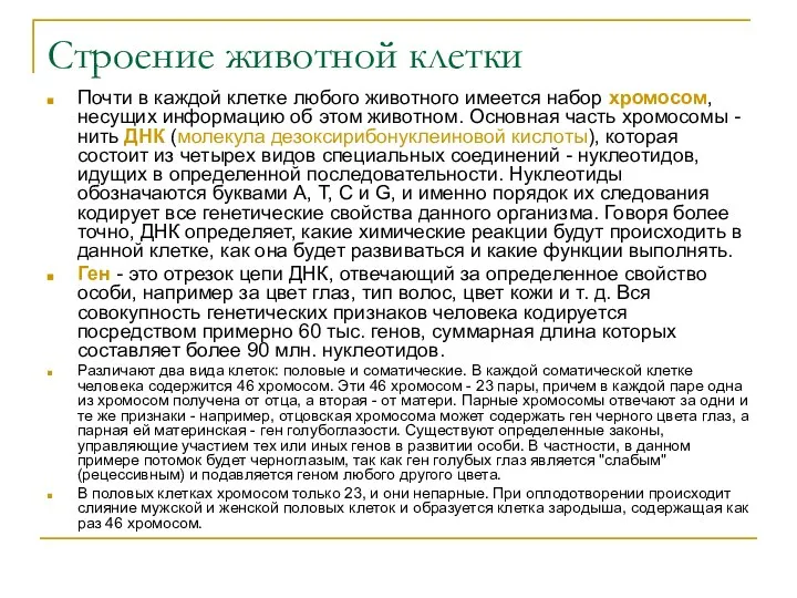 Строение животной клетки Почти в каждой клетке любого животного имеется набор