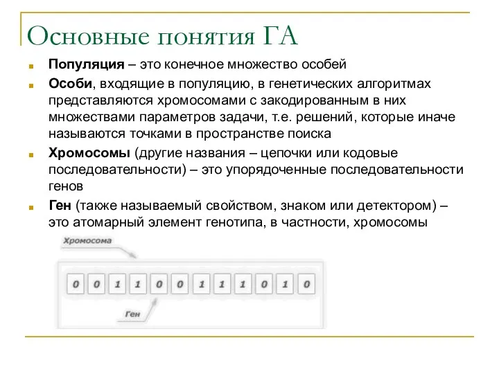 Основные понятия ГА Популяция – это конечное множество особей Особи, входящие