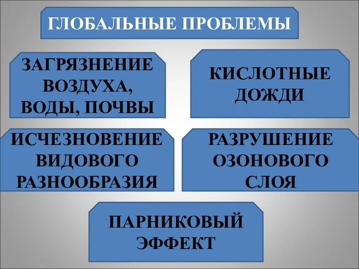 ГЛОБАЛЬНЫЕ ПРОБЛЕМЫ ЗАГРЯЗНЕНИЕ ВОЗДУХА, ВОДЫ, ПОЧВЫ КИСЛОТНЫЕ ДОЖДИ ИСЧЕЗНОВЕНИЕ ВИДОВОГО РАЗНООБРАЗИЯ РАЗРУШЕНИЕ ОЗОНОВОГО СЛОЯ ПАРНИКОВЫЙ ЭФФЕКТ