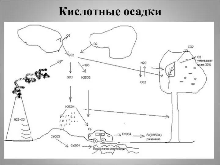 Кислотные осадки