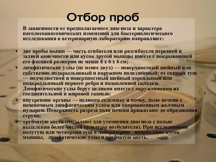 В зависимости от предполагаемого диагноза и характера патологоанатомических изменений для бактериологического