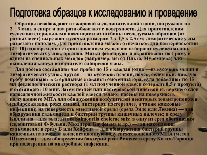 Образцы освобождают от жировой и соединительной ткани, погружают на 2—3 мин.