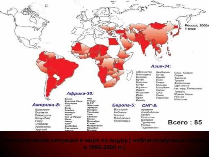 Эпизоотическая ситуация в мире по ящуру ( неблагополучные страны в 1996-2000 гг.)