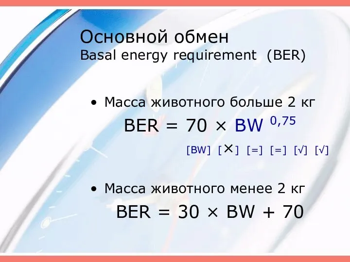 Основной обмен Basal energy requirement (BER) Масса животного больше 2 кг