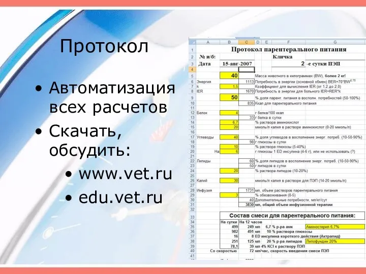 Протокол Автоматизация всех расчетов Скачать, обсудить: www.vet.ru edu.vet.ru