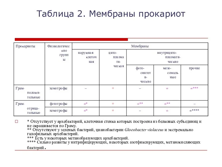 Таблица 2. Мембраны прокариот * Отсутствует у архебактерий, клеточная стенка которых