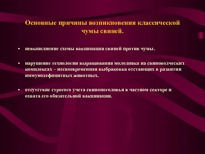 Основные причины возникновения классической чумы свиней. невыполнение схемы вакцинации свиней против