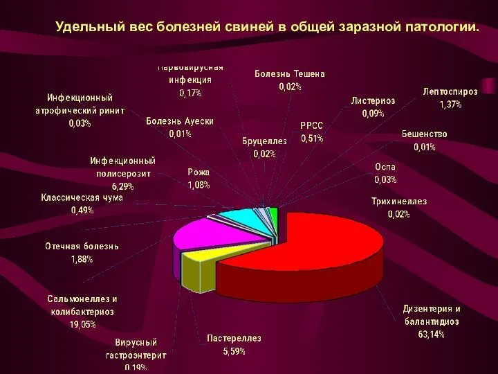 Удельный вес болезней свиней в общей заразной патологии.