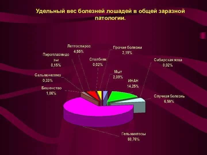 Удельный вес болезней лошадей в общей заразной патологии.