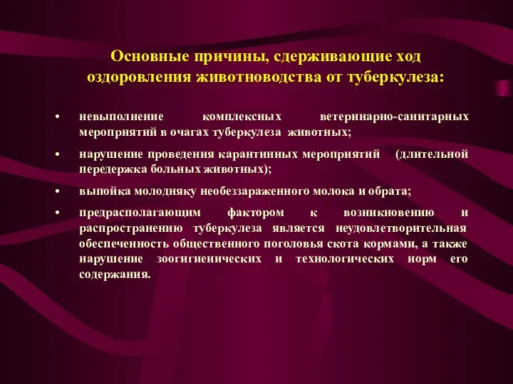 невыполнение комплексных ветеринарно-санитарных мероприятий в очагах туберкулеза животных; нарушение проведения карантинных