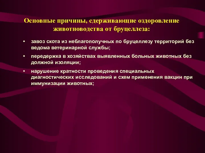 завоз скота из неблагополучных по бруцеллезу территорий без ведома ветеринарной службы;