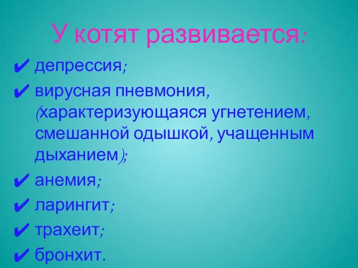 У котят развивается: депрессия; вирусная пневмония, (характеризующаяся угнетением, смешанной одышкой, учащенным дыханием); анемия; ларингит; трахеит; бронхит.