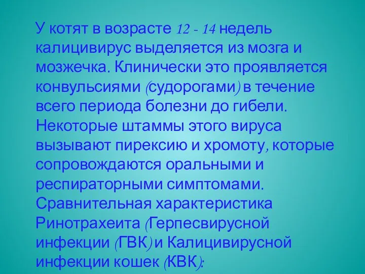 У котят в возрасте 12 - 14 недель калицивирус выделяется из