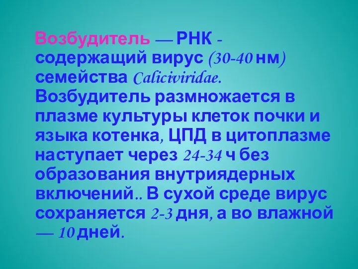 Возбудитель — РНК - содержащий вирус (30-40 нм) семейства Caliciviridae. Возбудитель