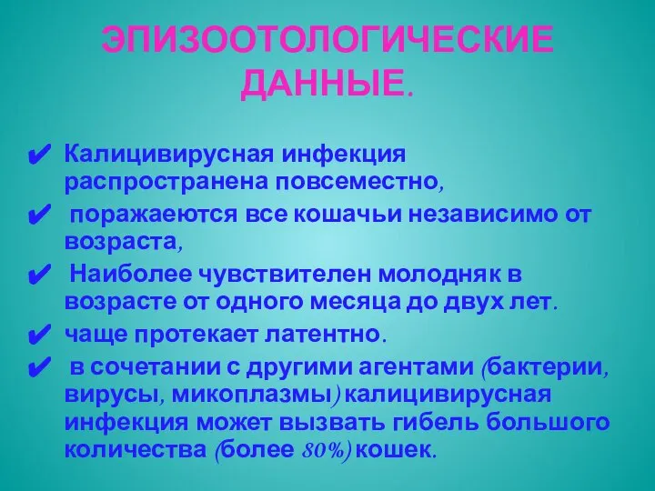 ЭПИЗООТОЛОГИЧЕСКИЕ ДАННЫЕ. Калицивирусная инфекция распространена повсеместно, поражаеются все кошачьи независимо от