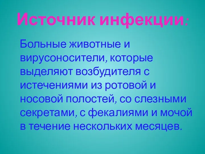 Источник инфекции: Больные животные и вирусоносители, которые выделяют возбудителя с истечениями