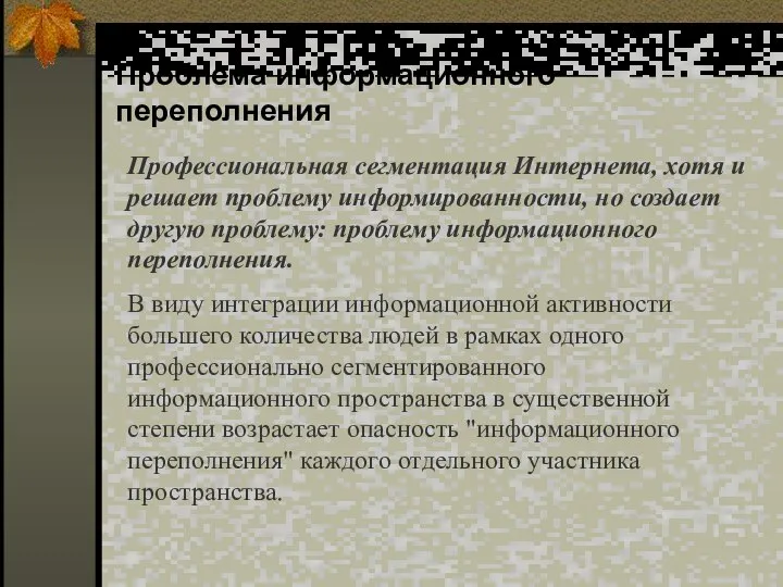 Проблема информационного переполнения Профессиональная сегментация Интернета, хотя и решает проблему информированности,